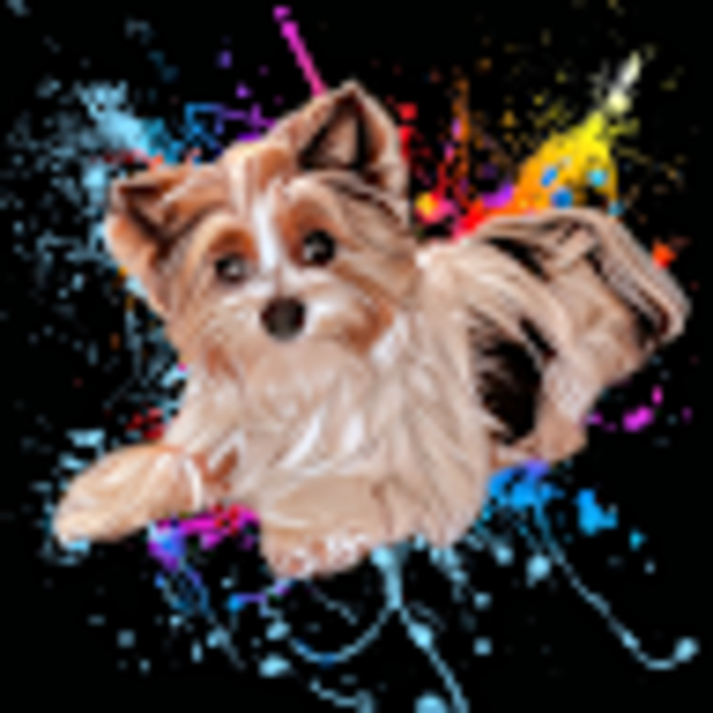 Meet your Posher, Chelsea